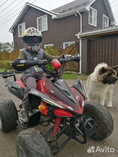 Квадроцикл Scorpion 110