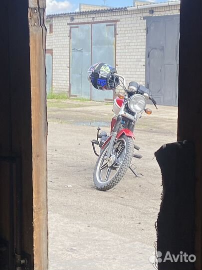 Alpha RX