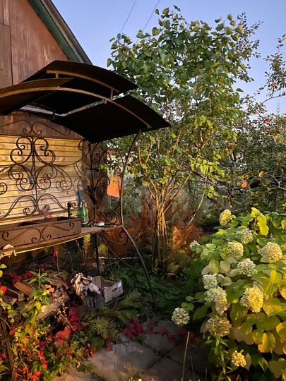 Дача 46 м² на участке 4 сот.