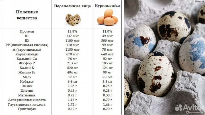 Яйца перепелиные инкубационное