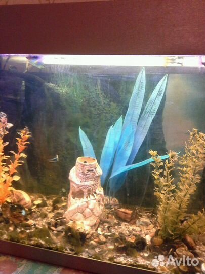 Аквариум 110 л