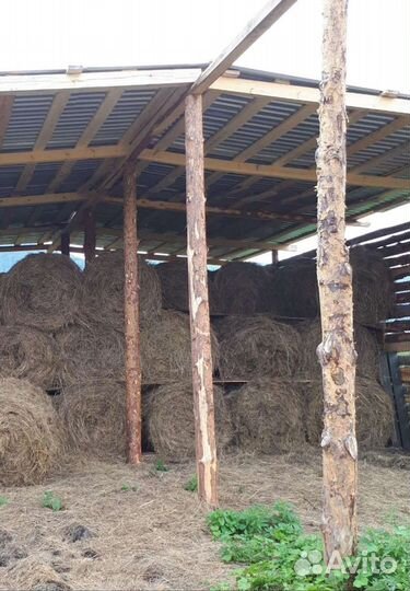Сено в рулонах