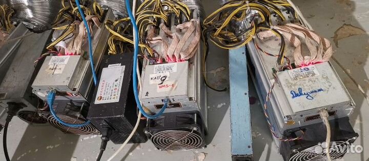 Asic bitmain antminer l3