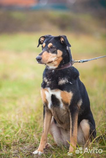 Гретта пережила предательство