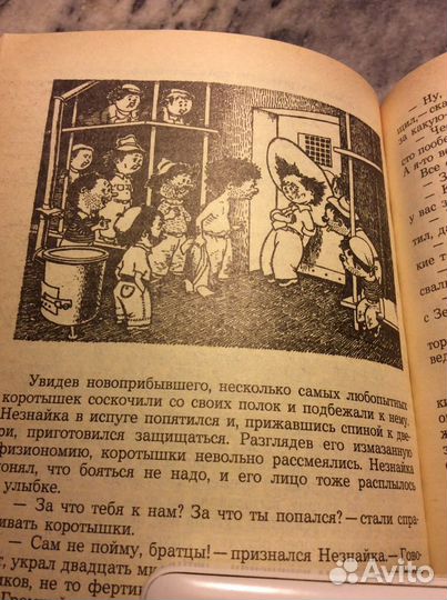 Шикарная книга