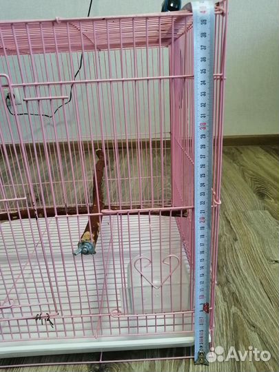 Клетка для попугая корелла