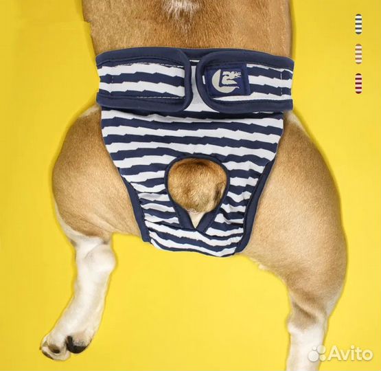 Трусики-шорты для собак