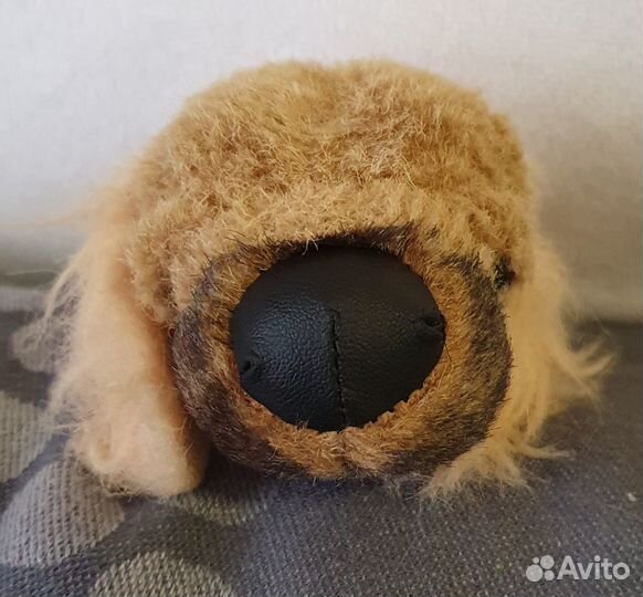 Щенки и журналы 