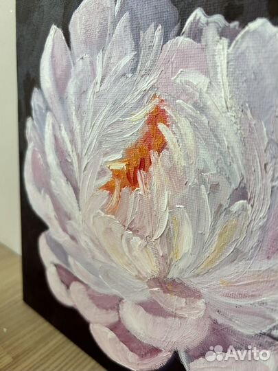 Интерьерная картина 20х20 Пион маслом
