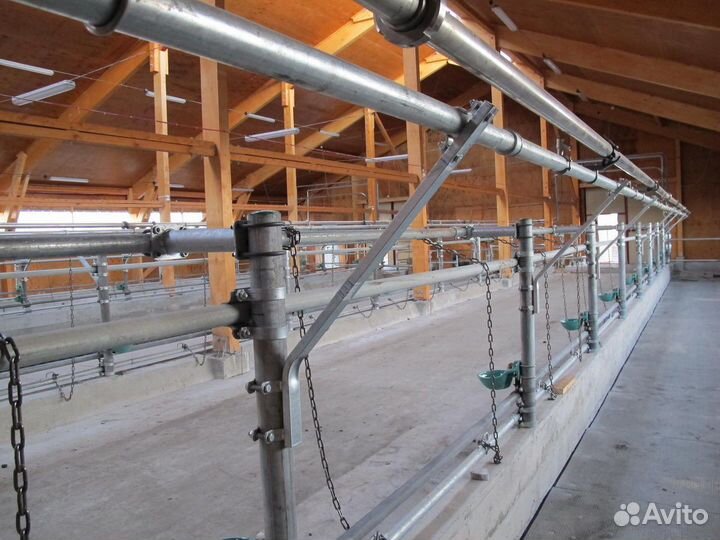 Стойловое содержание и поение крс на 50 голов