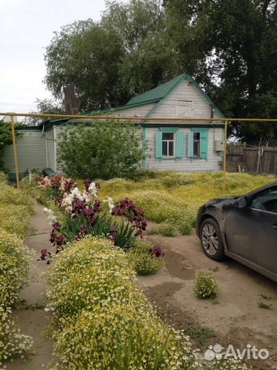 Рыбалка в Астрахани в дельте реки Кизань