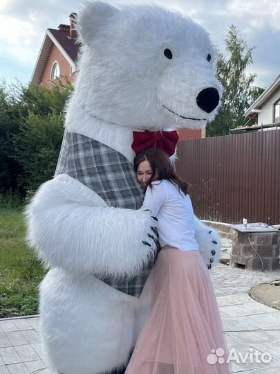 Белый мишка поздравление, Лобня