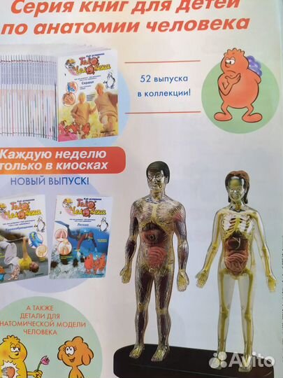 Комплект книг из серии тело человека