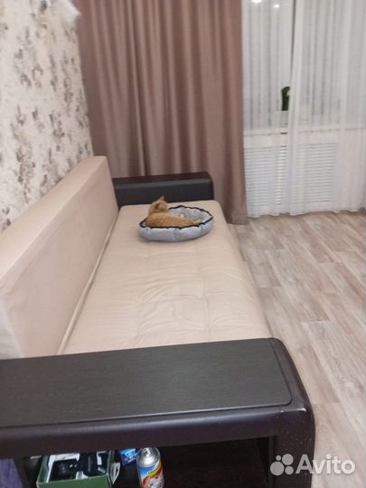 Диван прямой раскладной