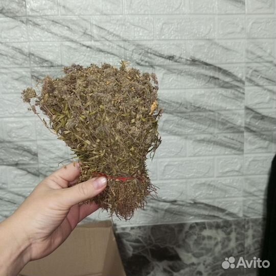 Травы для бани