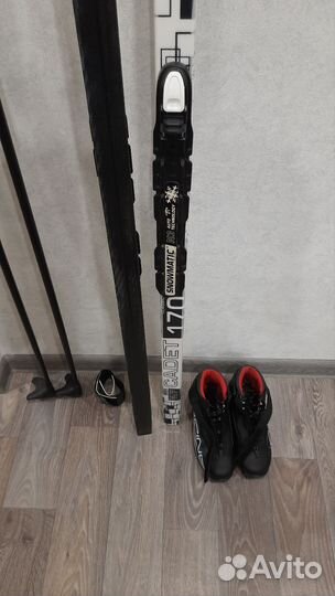 Беговые лыжи