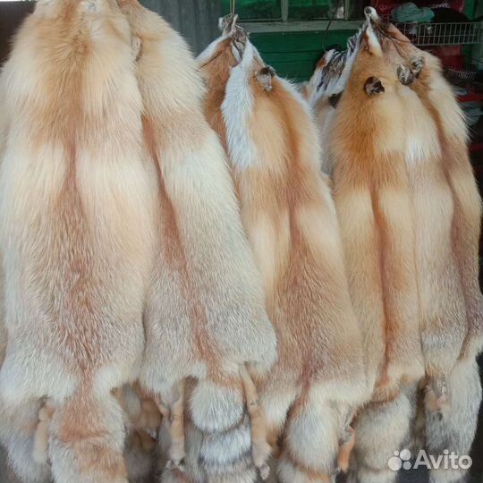 Шкуры рыжей лисы