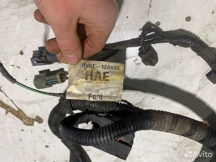 Проводка подкапотная Ford Focus pnda 2014