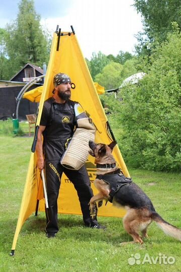 Дрессировка собак в Анапе