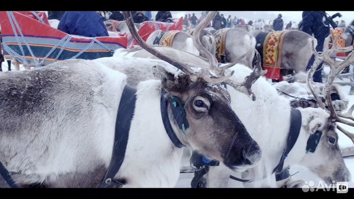 Видеосъемка