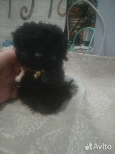 Котик Тедди коллекционный ручная работа