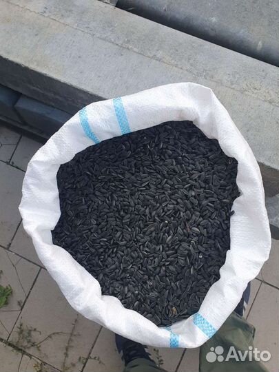 Семечки подсолнуха спк (птичка)