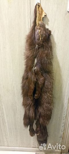 Шкурки чернобурки