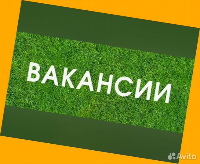 Упаковщик на склад Еженедельные выплаты Без опыта