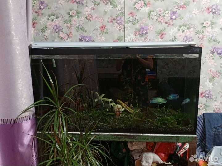 Аквариум с железной стойкой 200л