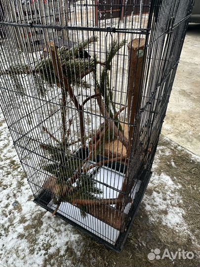 Клетка для животных