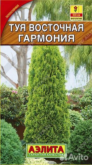 Семена зелёных растений