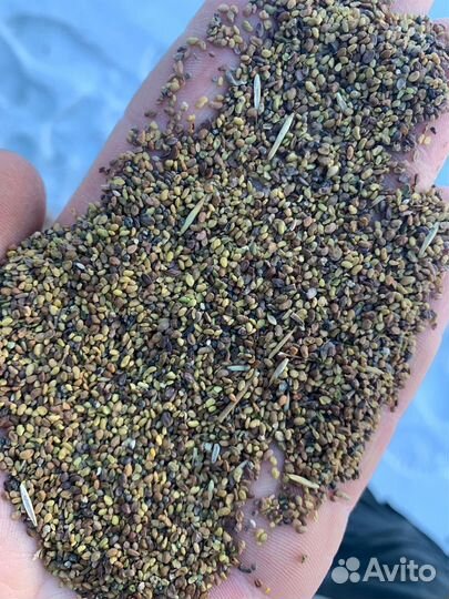 Травосмесь для пастбищ, дорожная в мешках 50 кг