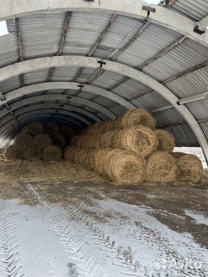 Сено в рулонах