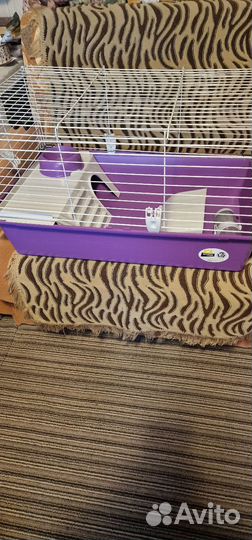 Клетка для грызунов бу