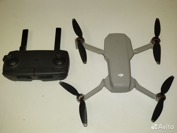 Dji mini возможен дербан