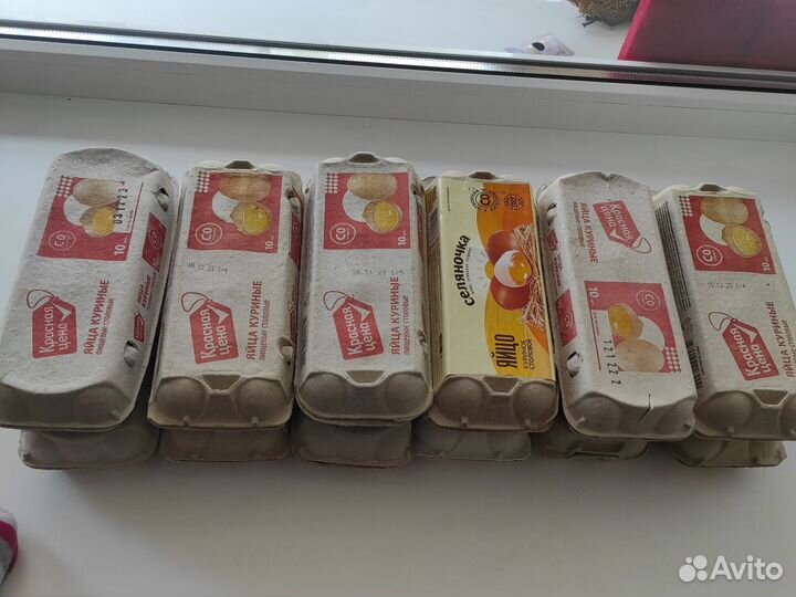 Лотки от яиц