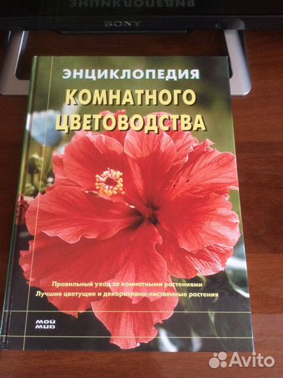 Новая книга