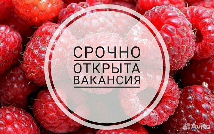 Продавец в район жилого массива Северный