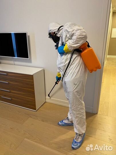 Дезинфекция Уничтожение клопов травить тараканов