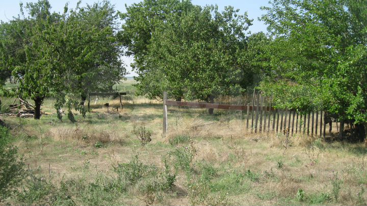 Дом 53 м² на участке 63 сот.