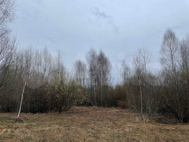 Участок 8,7 сот. (СНТ, ДНП)
