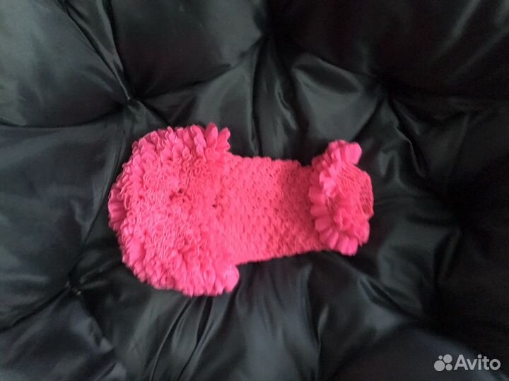 Одежда для собак и кошек