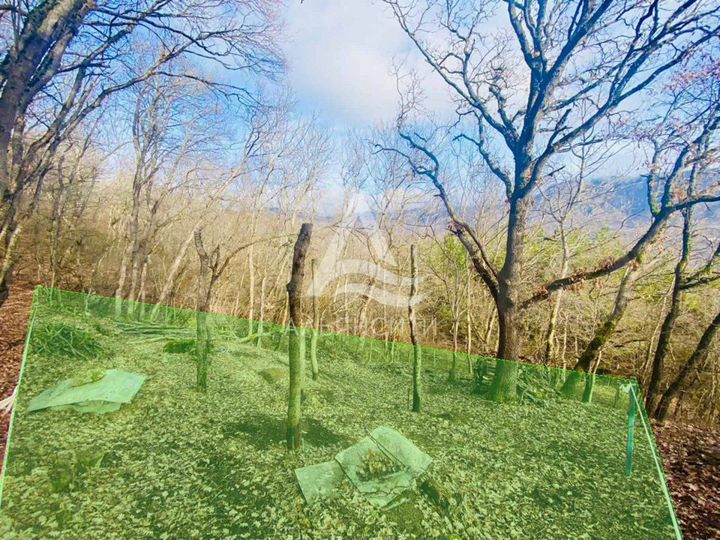 Участок 6 сот. (ИЖС)