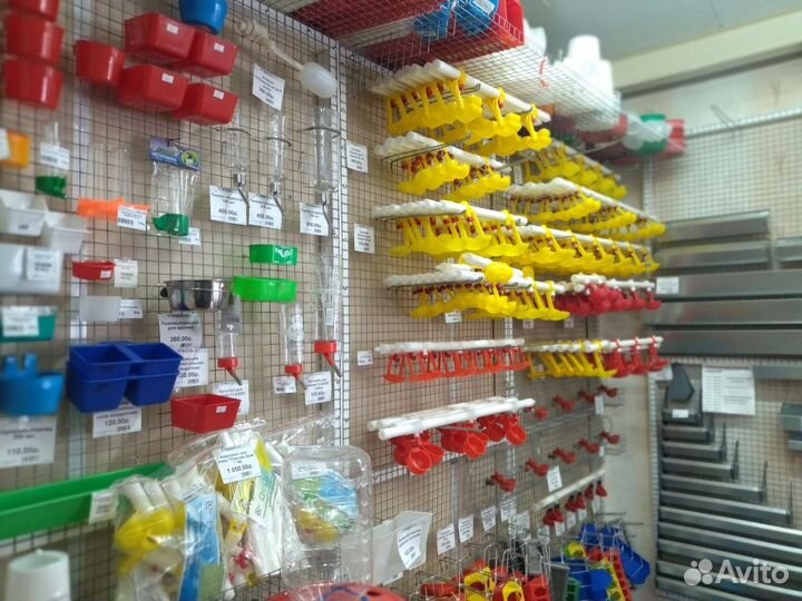 Поилки для птицы