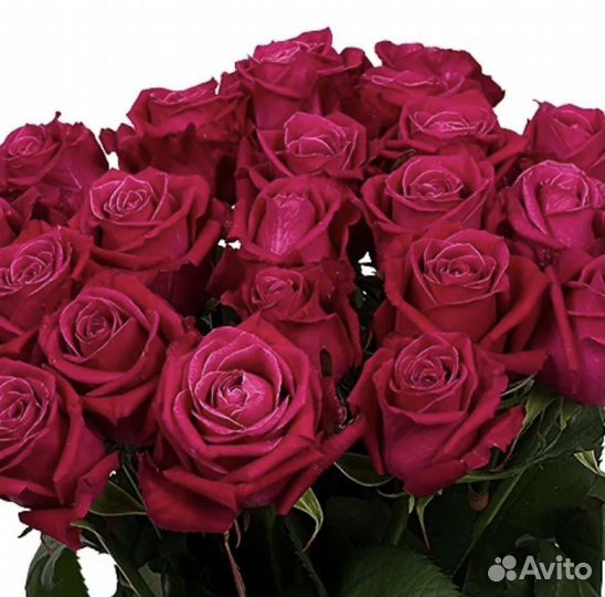 Цветы оптом