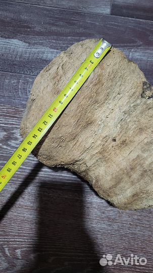 Коряги дрифтвуд