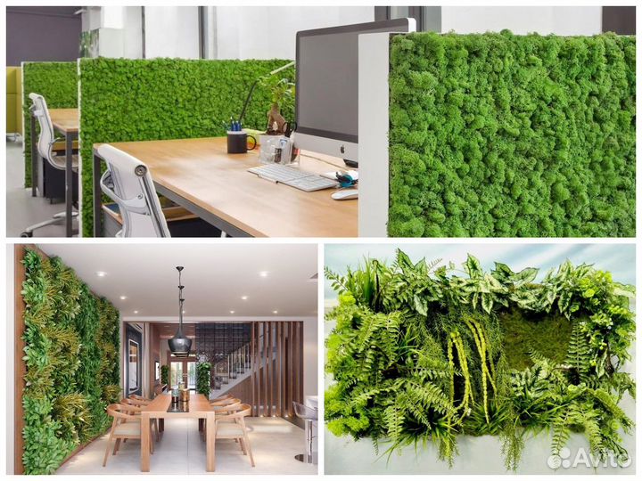 Фитостена. Озеленение пространств