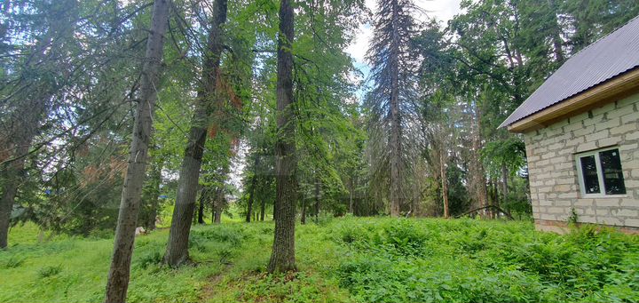 Участок 30 сот. (ИЖС)