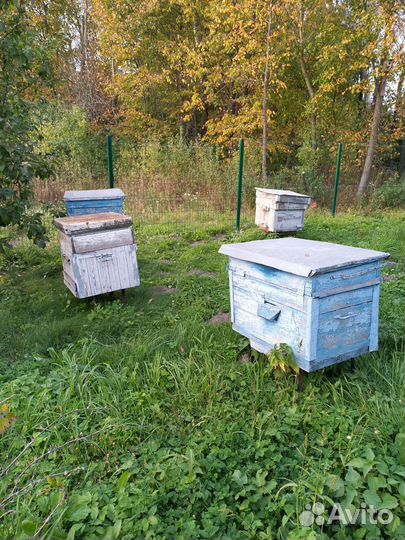 Улей для пчел бу