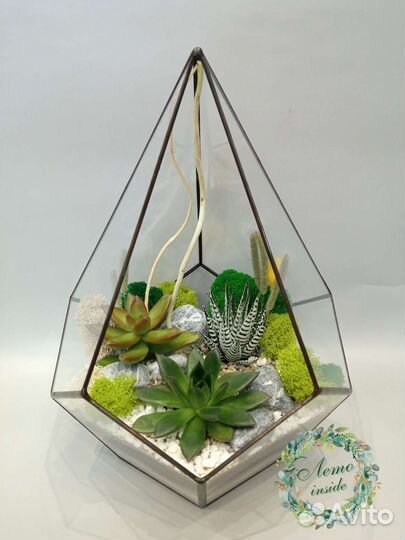 Флорариум. Суккуленты. Ижевск